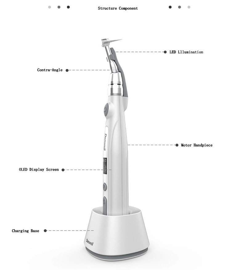 Byond Wireless Dental Endo Motor 1: 1 Endodontic para los archivos del canal de raíz dental