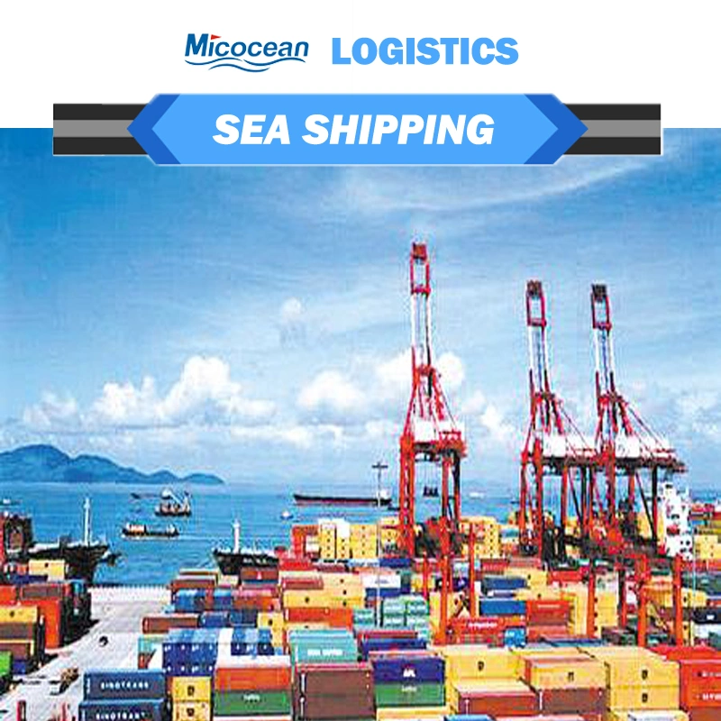 FCL LCL Sea Freight Forwarder From China to Ivory Coast with Customs Clearance