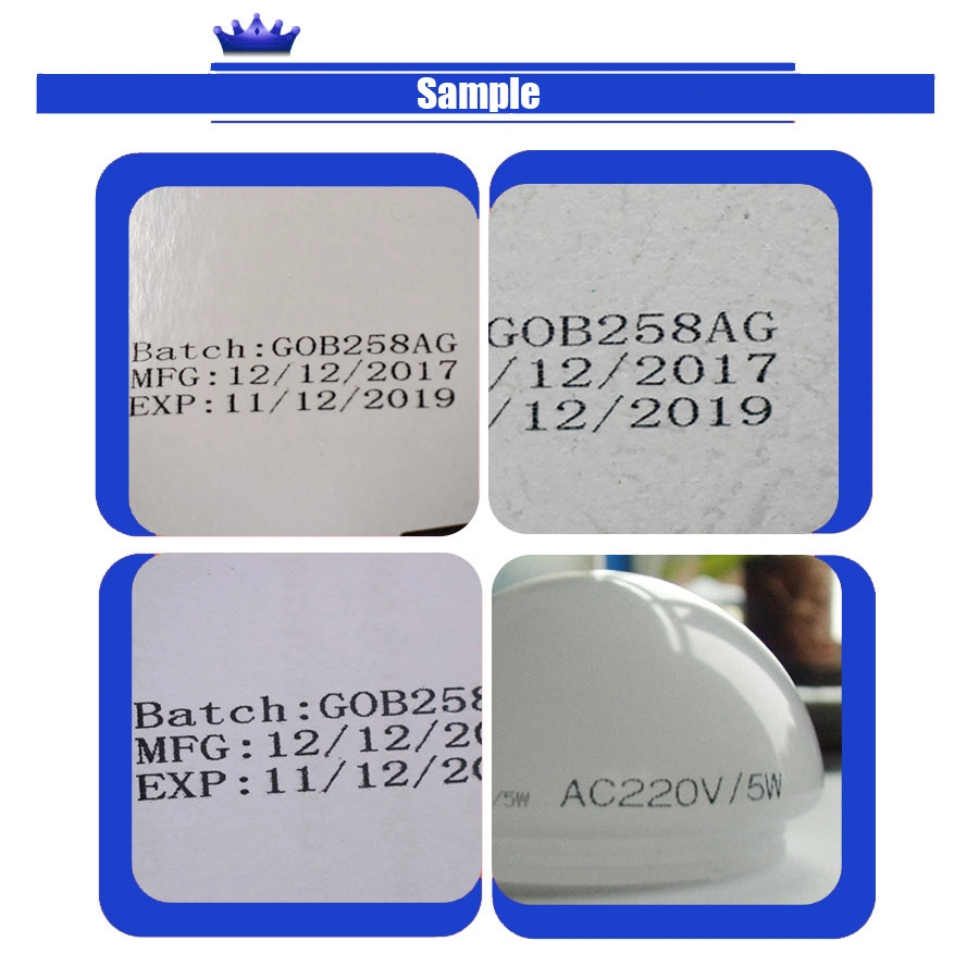 Fully-Automatic Dual Heads Batch Code Expiry Date Serial Number Inkjet Printer for Sale