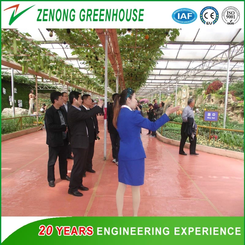 Tunnel Type Arch Film/Poly Greenhouse for Cultivation/Agriculture/Planting Vegetables/Seed Breeding