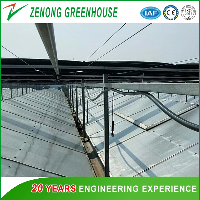 Beautiful Glass Greenhouse with Cooling System for Elegant Flower Cultivation/Commercial/Agricultrual Usage