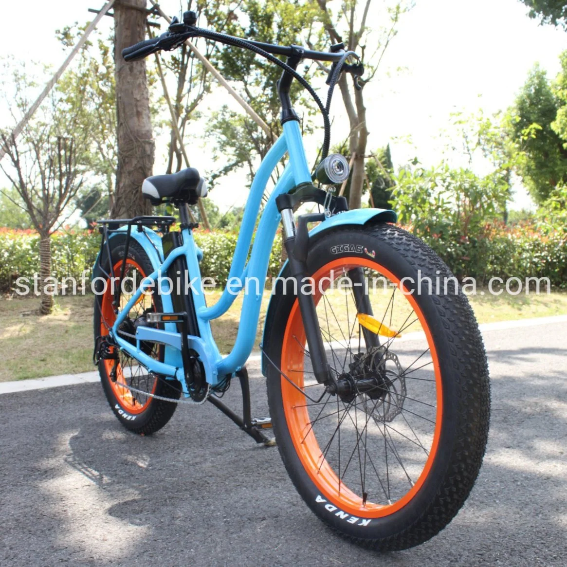 Greenpedel Wholesale/Supplier CE Certification Retro Electric Bike Ebike Bicycle
