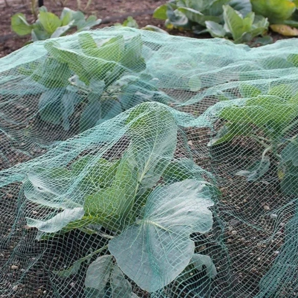 El precio bajo la pantalla de 3 años Xinhe Sábana de esgrima insecto Mosquito Net