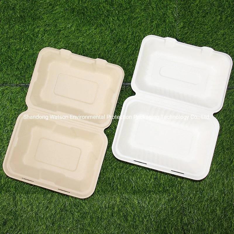 Eco Biodegradable Convenient Foodware Sandwich Holder Snack Holder Salad Box 1/2 Compartment Bento Disposable Lunch Box 9"X6" Bagasse Clamshell Hinged Container