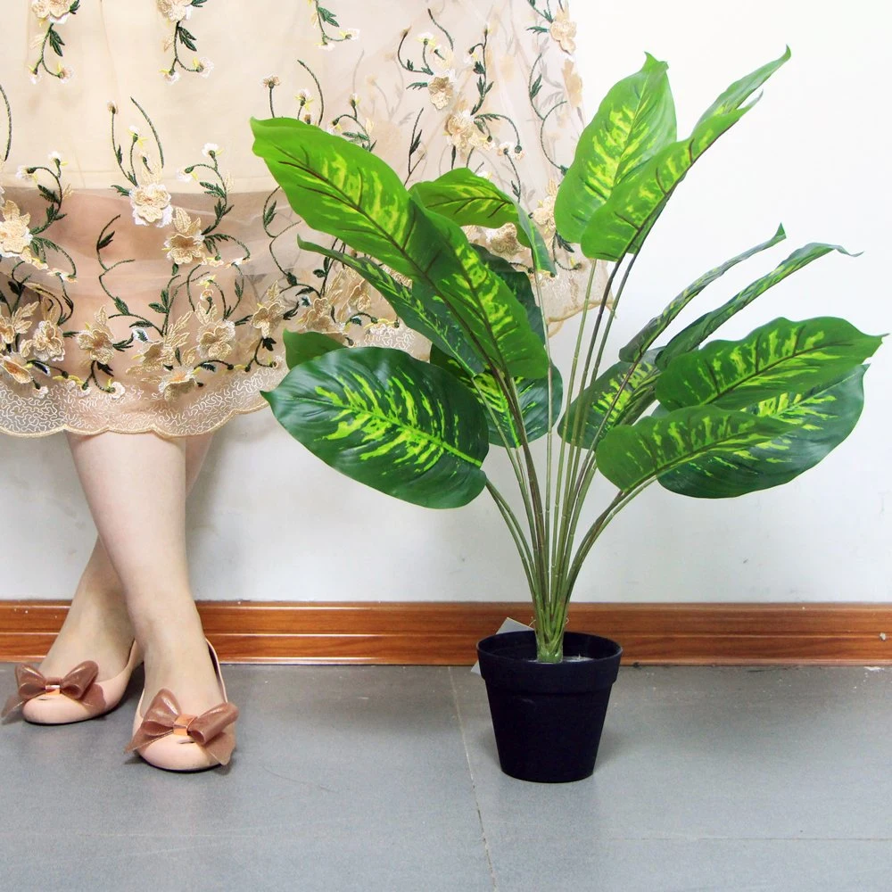 Mais Belos vasos de plantas verdes de baixo custo para a decoração exterior