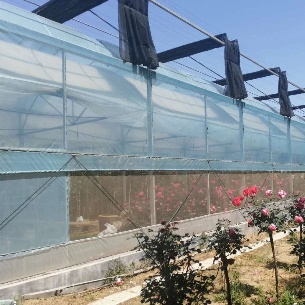 Single Agriculture Customized House Plastic Tomato Greenhouse PE Film in China Xinhe