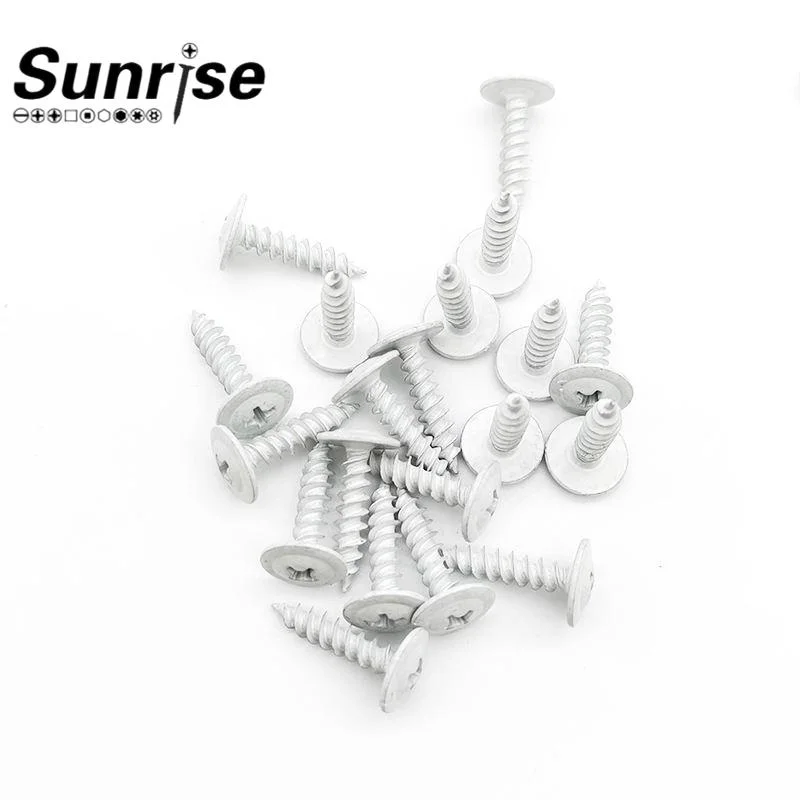 High quality/High cost performance Surface Carbuizing Treatment Surface of White Ruspert Coating Tapping Screw