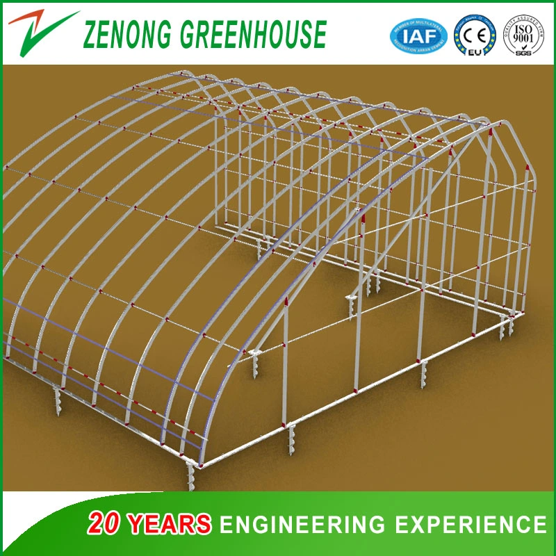 Quick Heat Accumulation Quick Heat Releasing Plate System Specially for Solar Greenhouse Cold Season Vegetables Culture with Low Cost Zero Energy Consumption