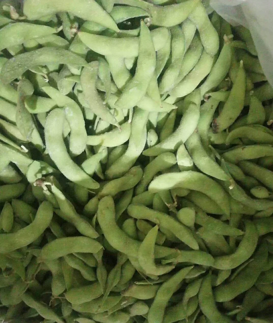 Edamame surgelé de haute qualité, IQF Edamame Pods, a bombardé Edamame de Chine