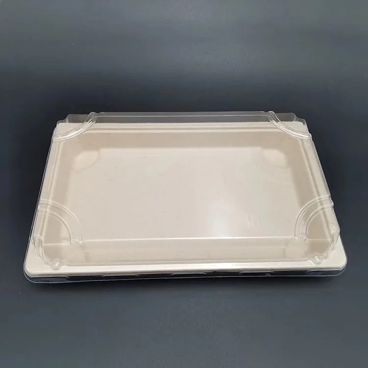 Disposable Sugarcane Tableware Environmental Protection Bagasse Rectangle Tray