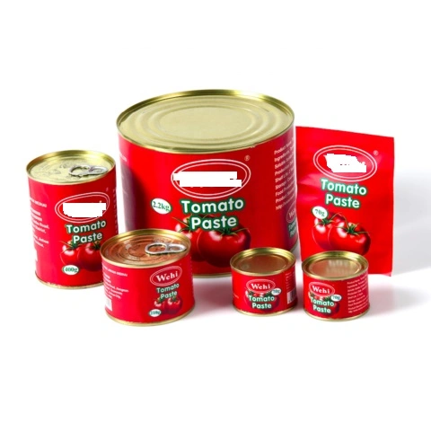 Tomate para Benim 2200g de tomate preço de fábrica