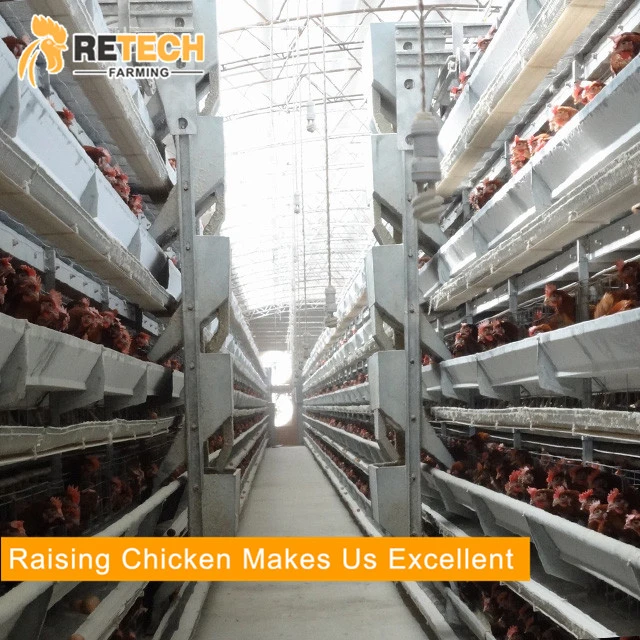 Retech Automatische Geflügelzüchtungs-Ausrüstung Chicken Layer Battery Cage