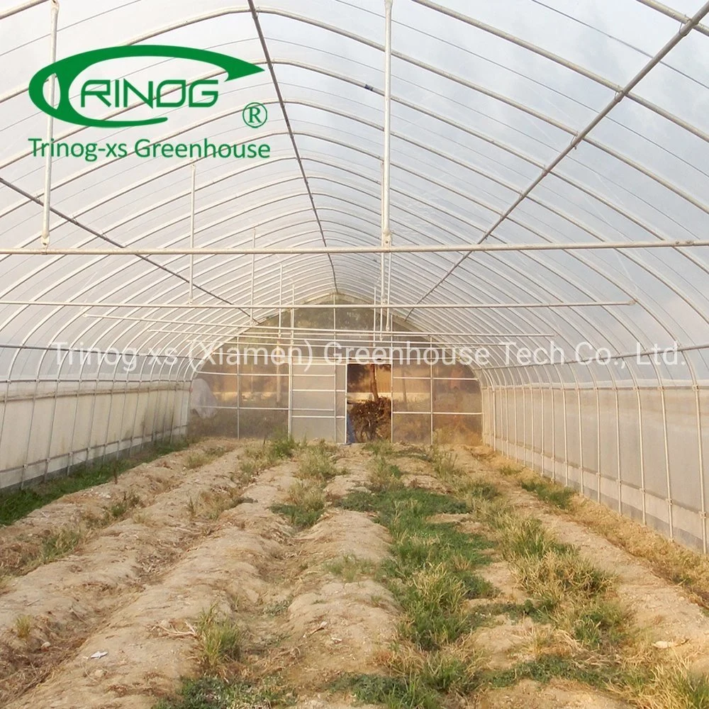 Trinog greenhouse 6*20m 200um film agriculture greenhouse cover film for planting