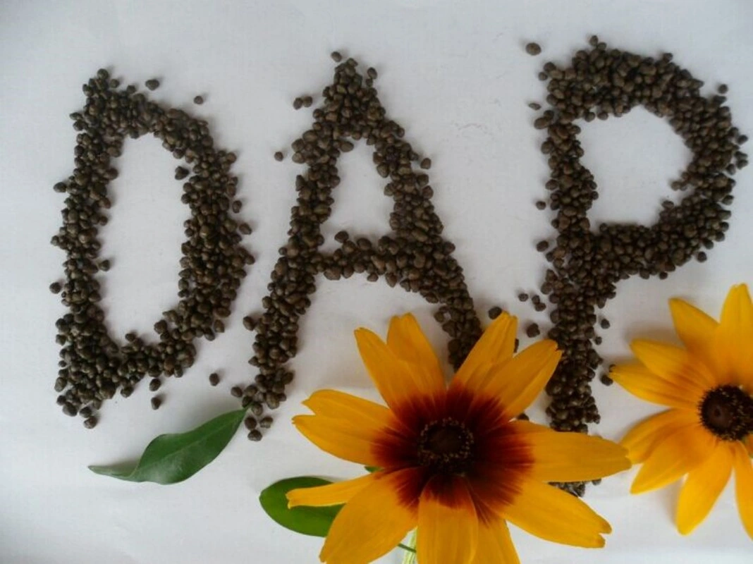 Comida de alta calidad de grado industrial grado o DAP fosfato de amonio con el precio de fábrica