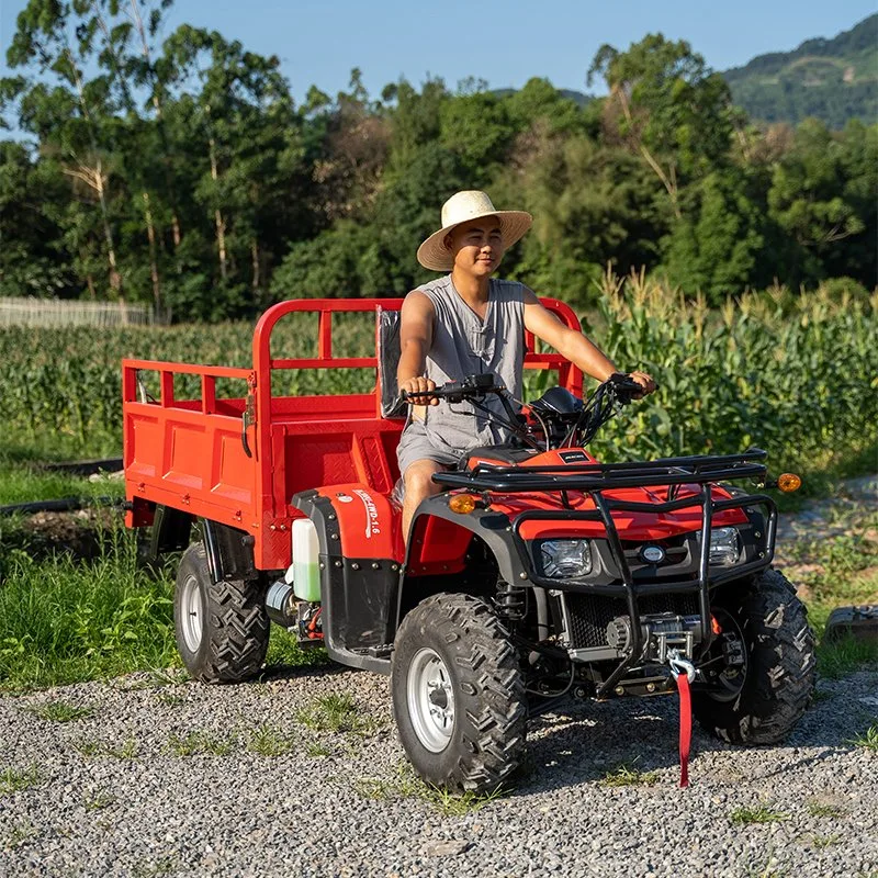 Max. Speed 65km/H Four Wheeler 250cc 300cc 4X2 Beach Buggy