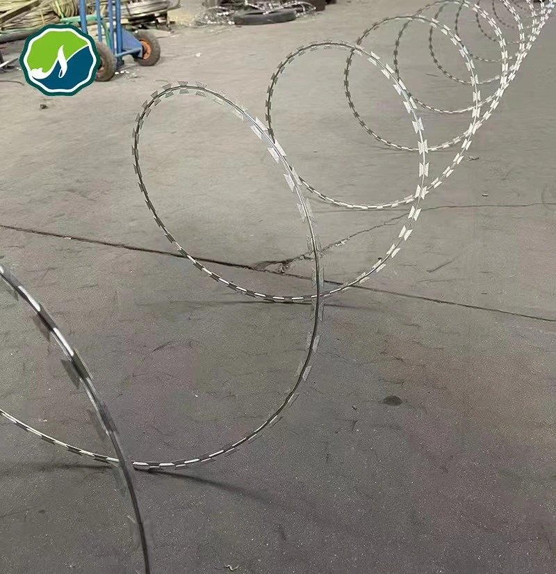 Galvanized PVC Stainless Steel Concertina Razor Barbed Wire Bto-22 Bto-60 Cbt-65 Fencing Wire Price