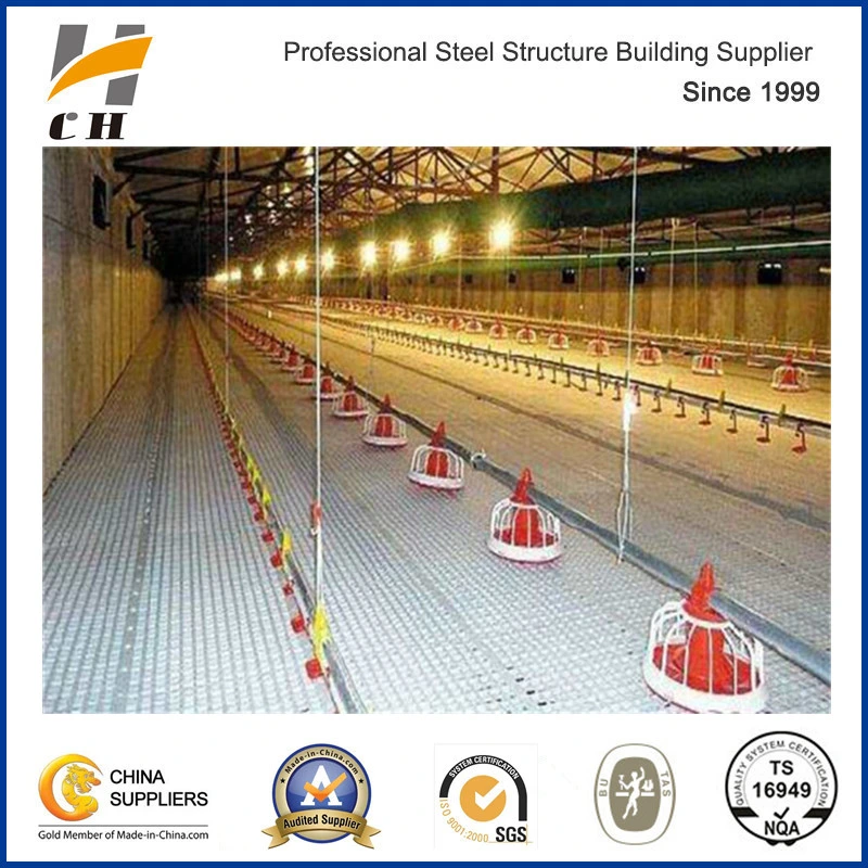 Factory Suppilers Prefab Light Steel Structure Broiler Layer Poultry Farm/Shed/House