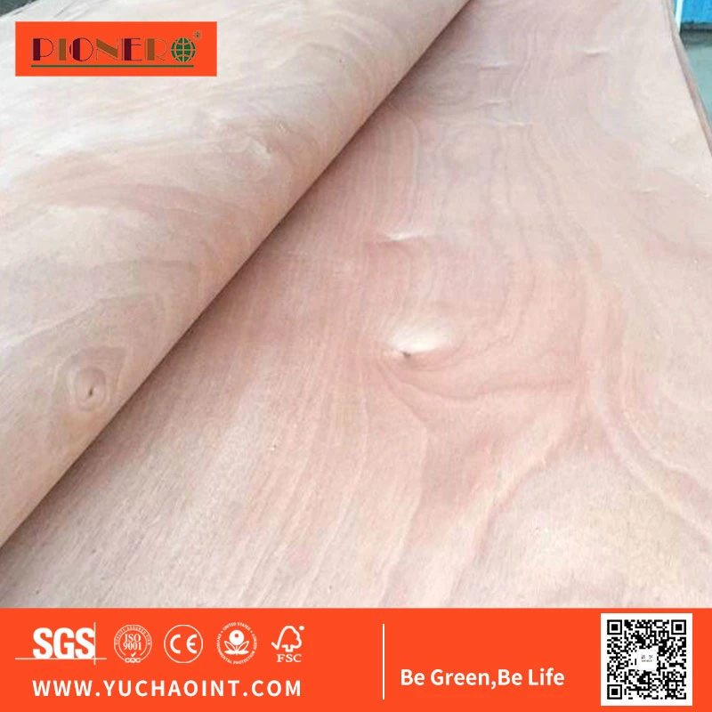 Okoume Wood Face Veneer for Europe Market Cheap Price