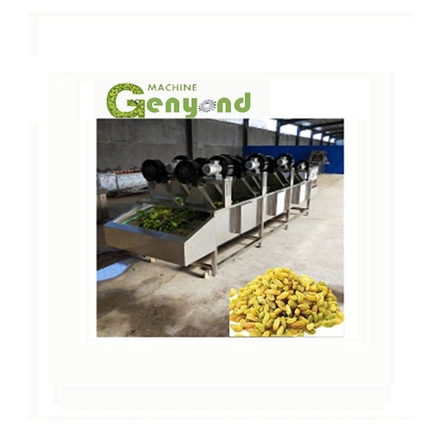 Raisin Cleaning Processing Machine/Production Line