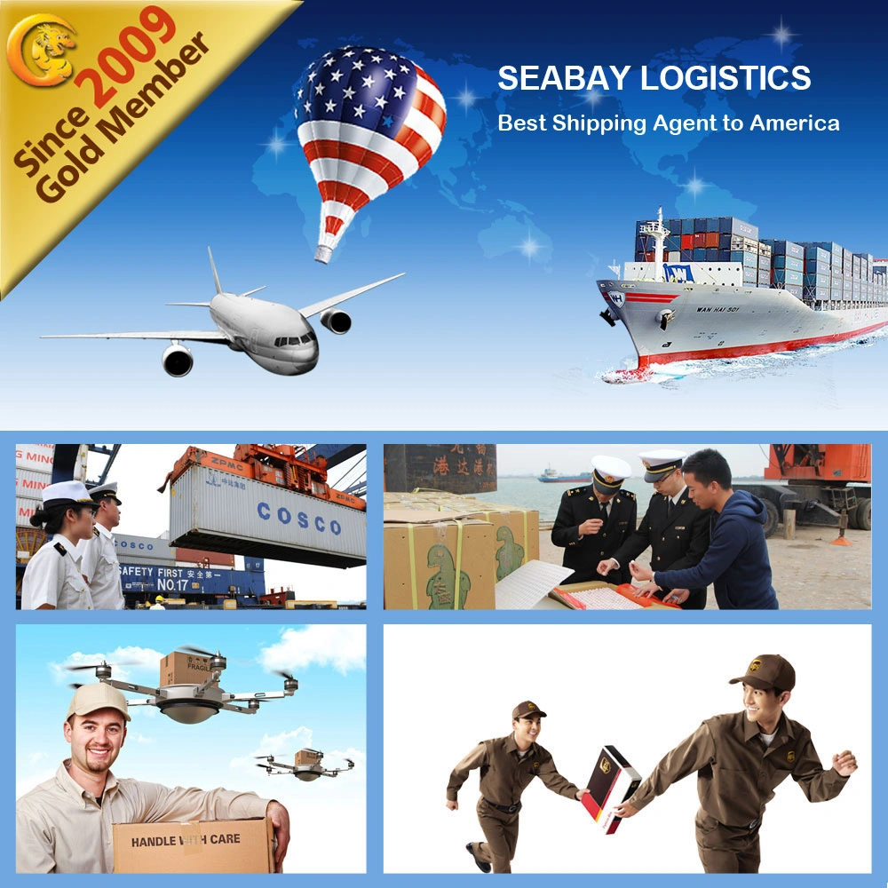 China Professional Ocean Shipping Forwarder Service to Los Angeles Fba Amazon Warehouse