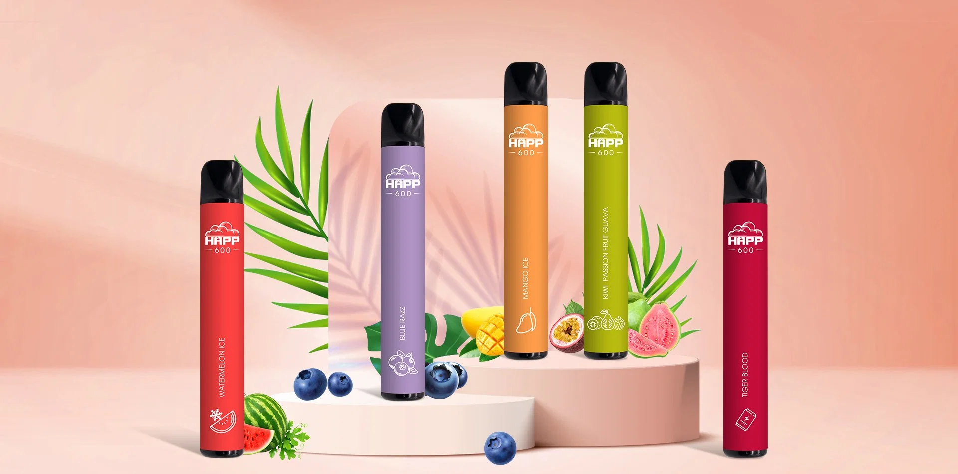 Professional 600 Puffs Vapes Suppliers in Shenzhen Custom Flavors 0mg Nicotine 600 Puffs Disposable/Chargeable