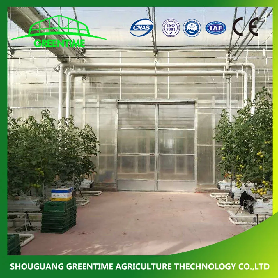 Commercial/Agricultural Solar PC Sheet/Polycarbonate Sheet Greenhouse with Hydroponic System