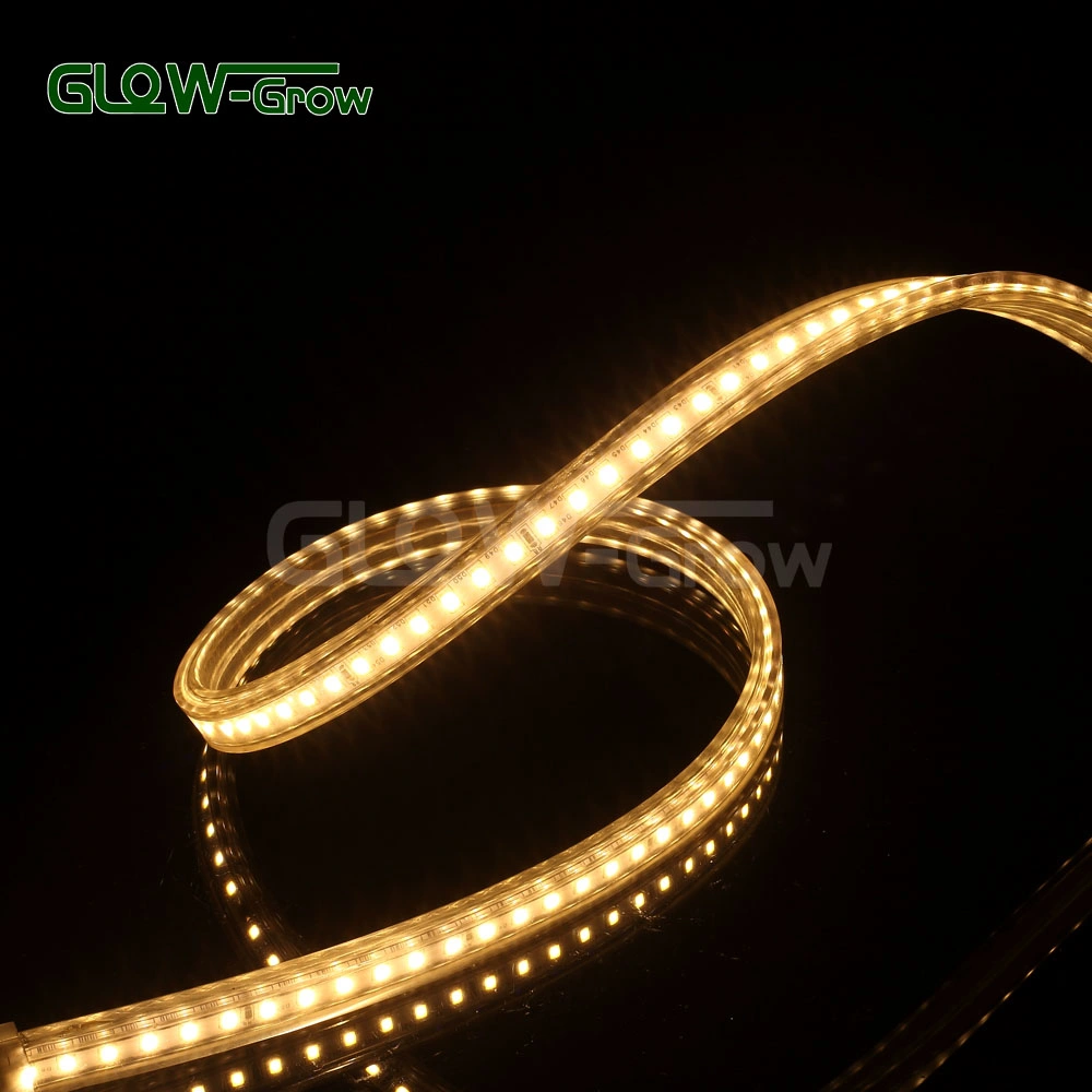 High Voltage Double Line IP65 Waterproof 120LEDs/M SMD 2835 4000K White LED Strip Lamp