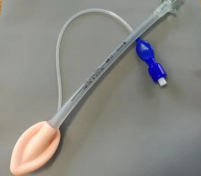 Source Supply Stable Disposable PVC Laryngeal Mask Using for Hospital #1.0#2.0#3.0#4.0#5.0 Size