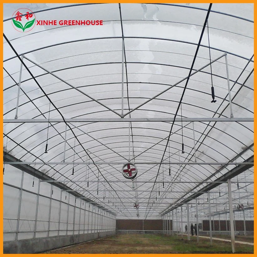 Good Price Customized Production Garden Plastic Film Greenhouse