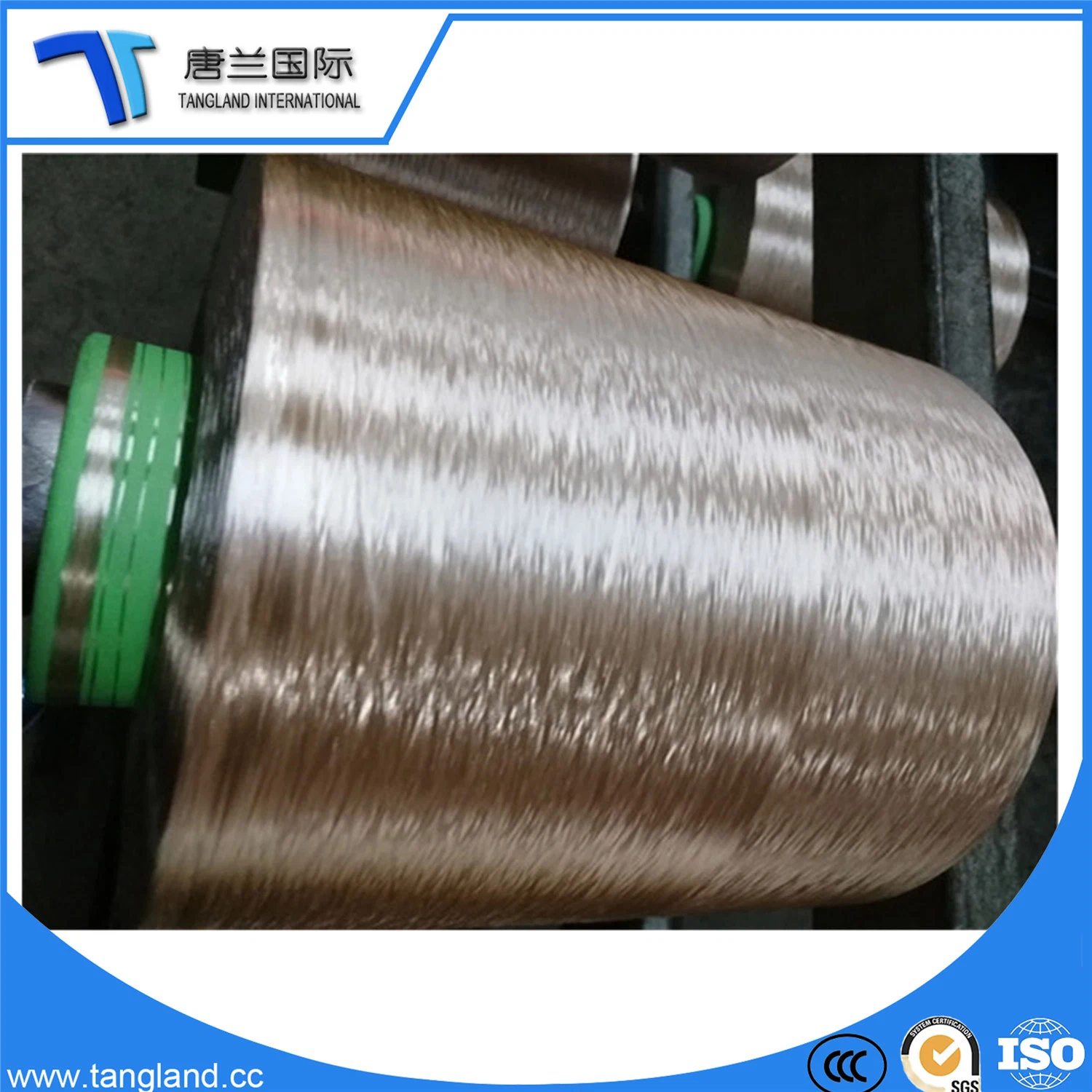 Polyamide Fiber Textile Nylon6 PA Industrial Yarn/Silk