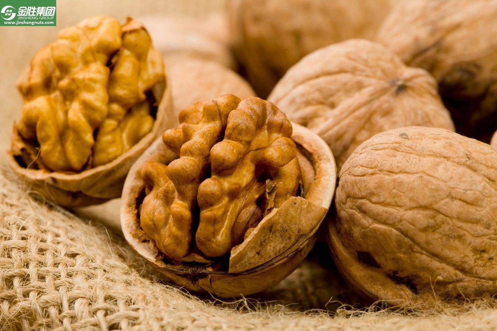 Organic Walnuts in Shell Walnut Kernel