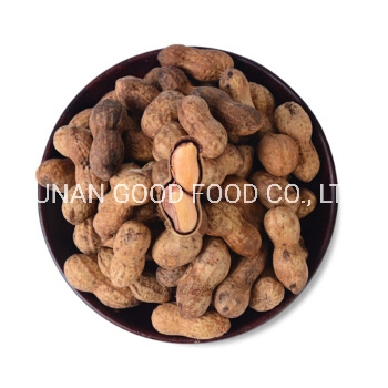 New Varieties of High quality/High cost performance  Raw Peanut Kernels / Roasted Peanuts