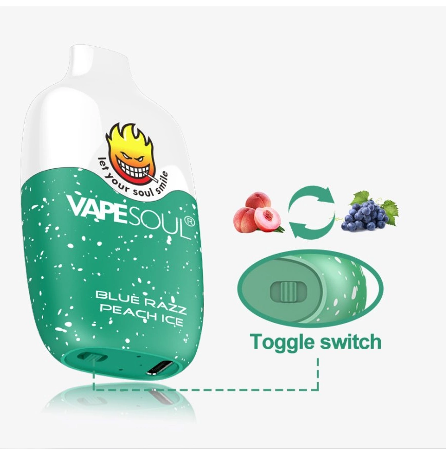 Large Capacity Vapesoul 10ml 5000 Puffs Disposable/Chargeable Vape Outdoor Portable Fitness Plastic Paper Package Sports Relaxing Space Round Design Vape