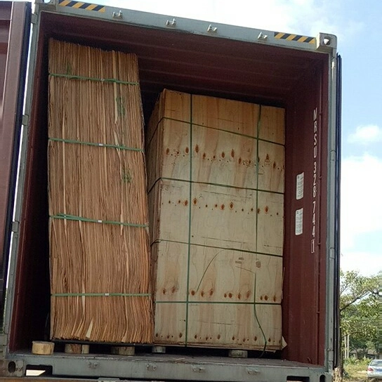 Corte giratorio de madera de pino radiata naturales se enfrentan a la chapa sin nudo.