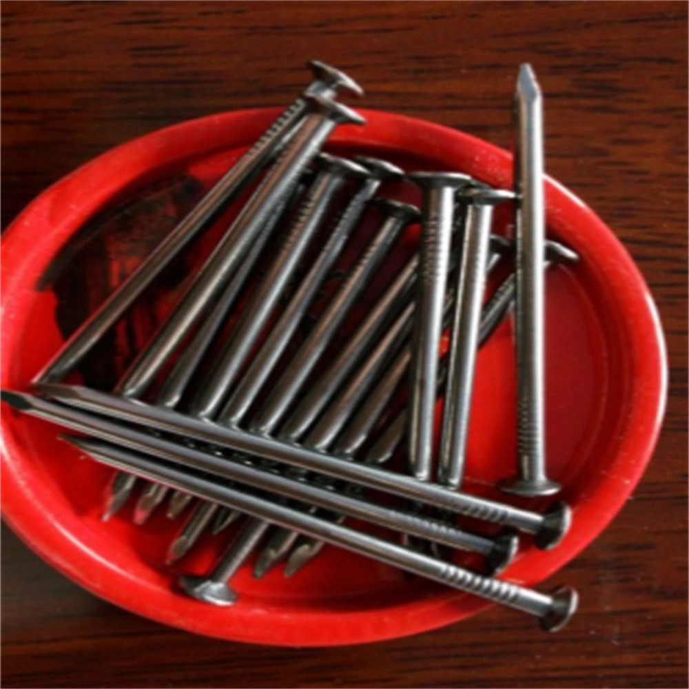 Galvanized/Boat Nail/Thread Nail/Linoleum Nail/Metal Roofing Nail