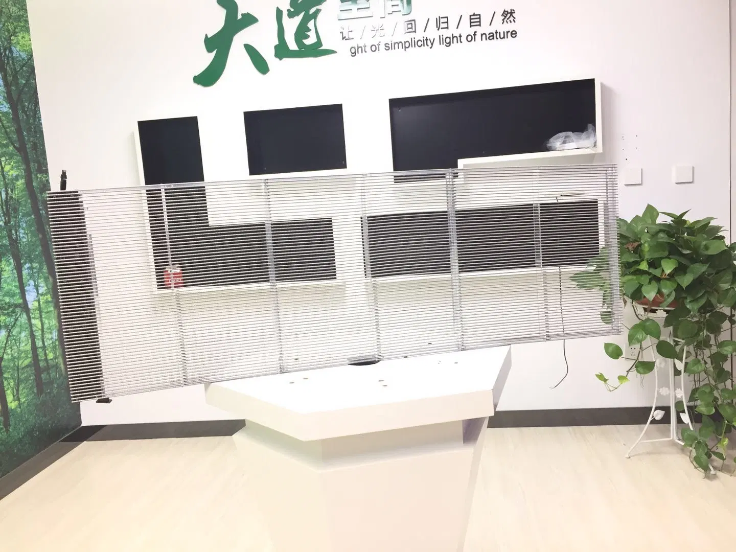 Indoor Advertising Display Signs Transparent Screen for Building/LED Display Screen Store