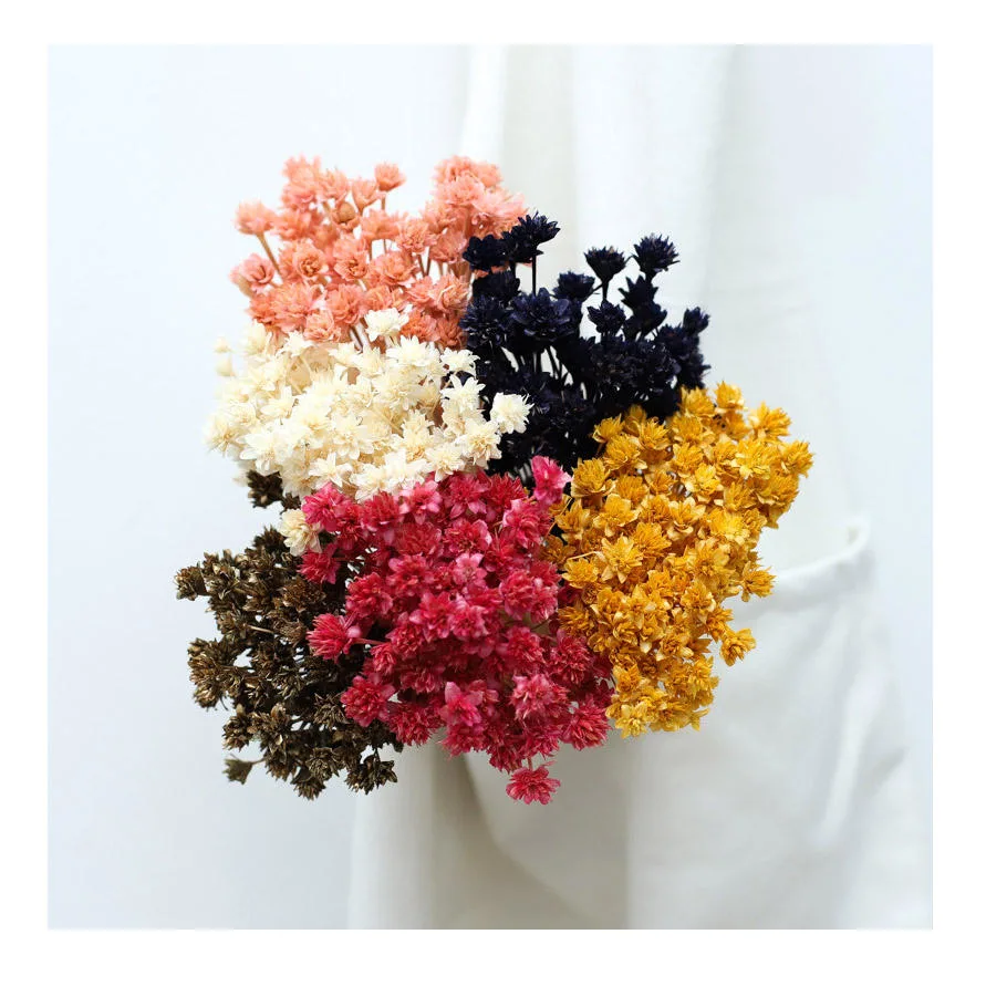 Wholesale/Supplier Dried Flowers Small Mountain Flower for Home Wedding Decoration Natural Dried Flower