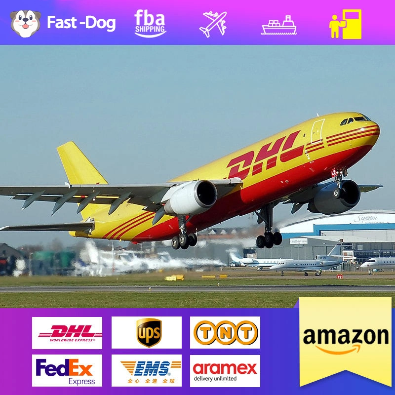 International Delivery DHL Express Tracking Logistics Rates Shipping Agent From China to UK UAE Spain Frete