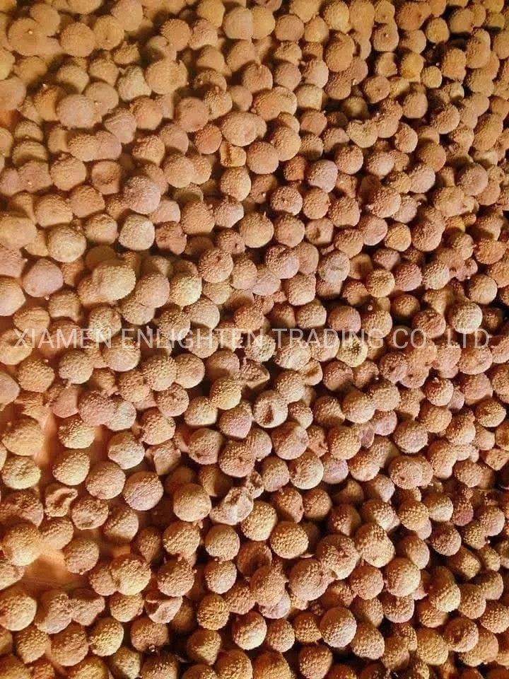 Hot Sale Healthy Fruit Dried Lychee Unpeeled for Beauty and Health