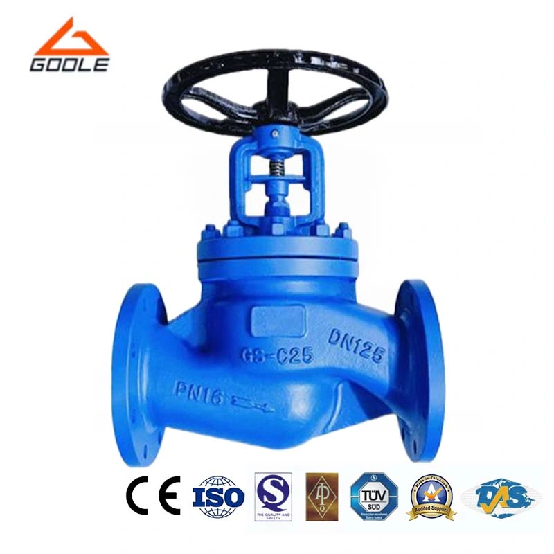 DIN/En Long Stem Bellow Seal Globe Valve (GAJ41H)