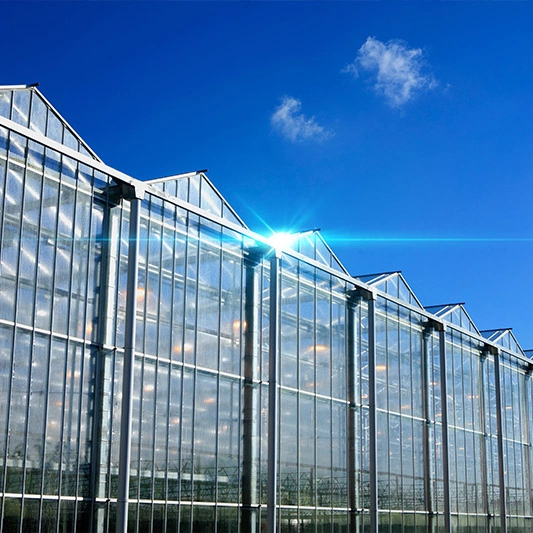 2023 China Supply Landwirtschaftliches Polycarbonat-Gewächshaus für die Länder des Nahen Ostens