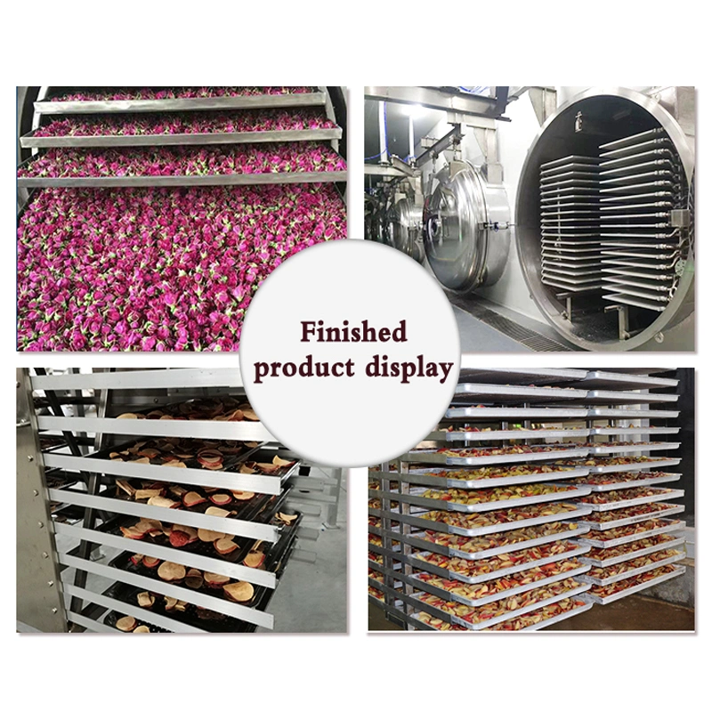 TCA High quality/High cost performance  Automatic Freeze-Dried Treats Flower Orange Strawberry Chicken Hearts Food Machine