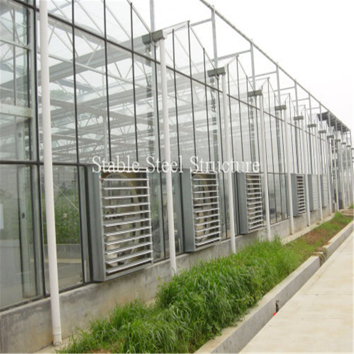 High quality/High cost performance  Plastic Film Green House for Planting Vegetables and Fruits