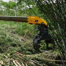 Ycf150s máquina de corte de árboles para maquinaria forestal de remolcadores