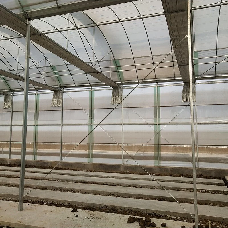 Cheap Sale of Hot-DIP Galvanized Steel Frame Multi-Span Glass Greenhouse Vegetable Greenhouse