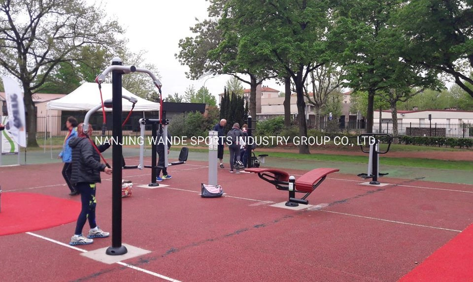 Galvanized Outdoor Fitness Equipment with Twist Stepper Wd-010490