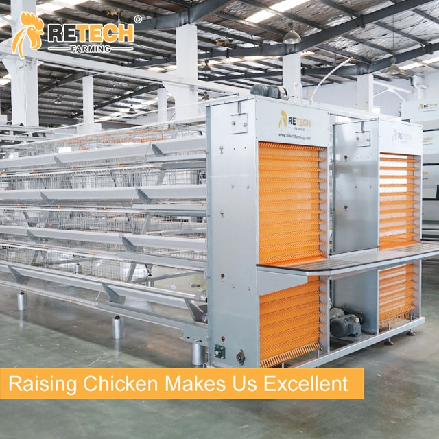 High quality/High cost performance  Automatic chicken layer battery cage Poultry Farm Equipment in Senegal