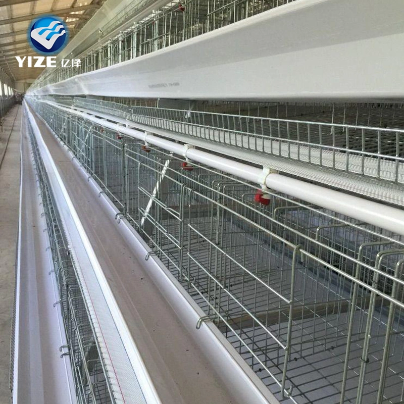 Poultry Farms Battery Cages Laying Hens, Egg Laying Chicken Coop for Sale