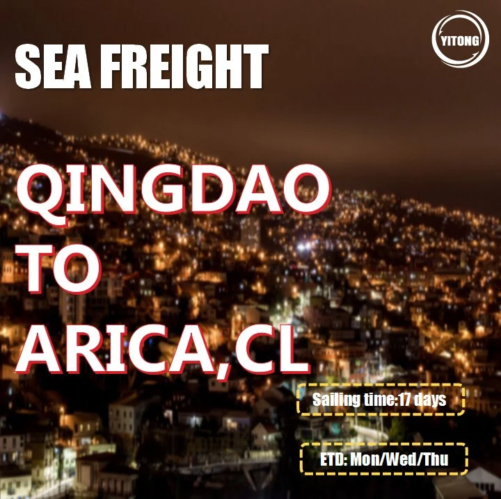 Serviço de Frete Forwarder Ocean Freight de Tianjin para Arica Chile