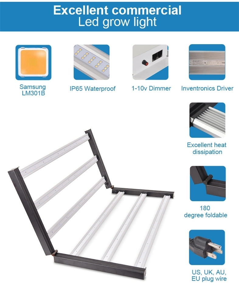 600W 800W 1000W Samsung LM301b LM301H 6 8 10 12 bares de Equipamentos Agrícolas Driver Meanwell Vertical regulável para EUA Markting estufa crescem LED Light